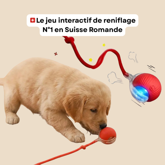 Balle Furie Sauvage™ - Jouet interactif à queue