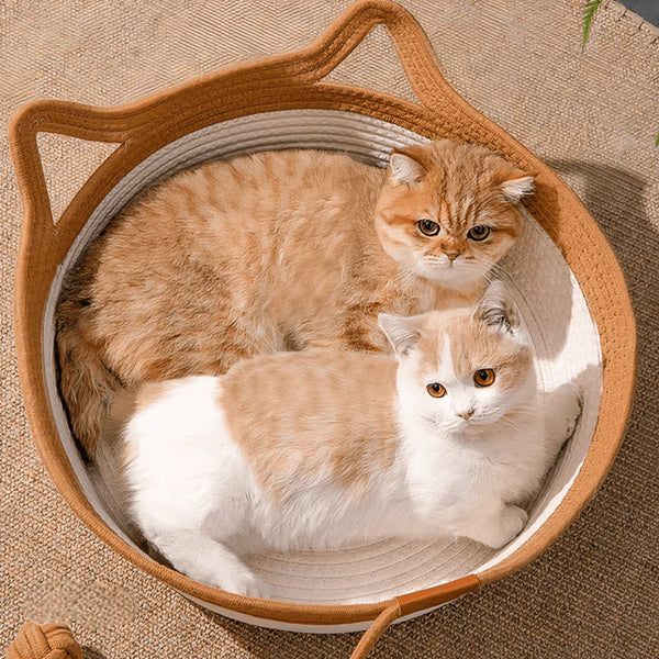 Panier Cocon Tressé pour Chat