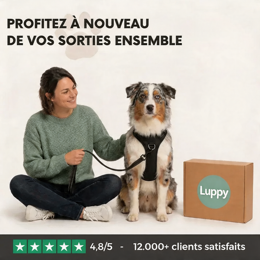 Harnais Anti-Traction Luppy